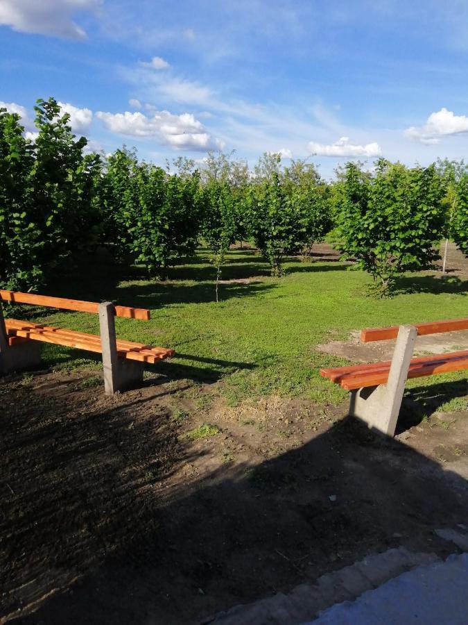 Apartman Fiva Appartement Pacir Buitenkant foto